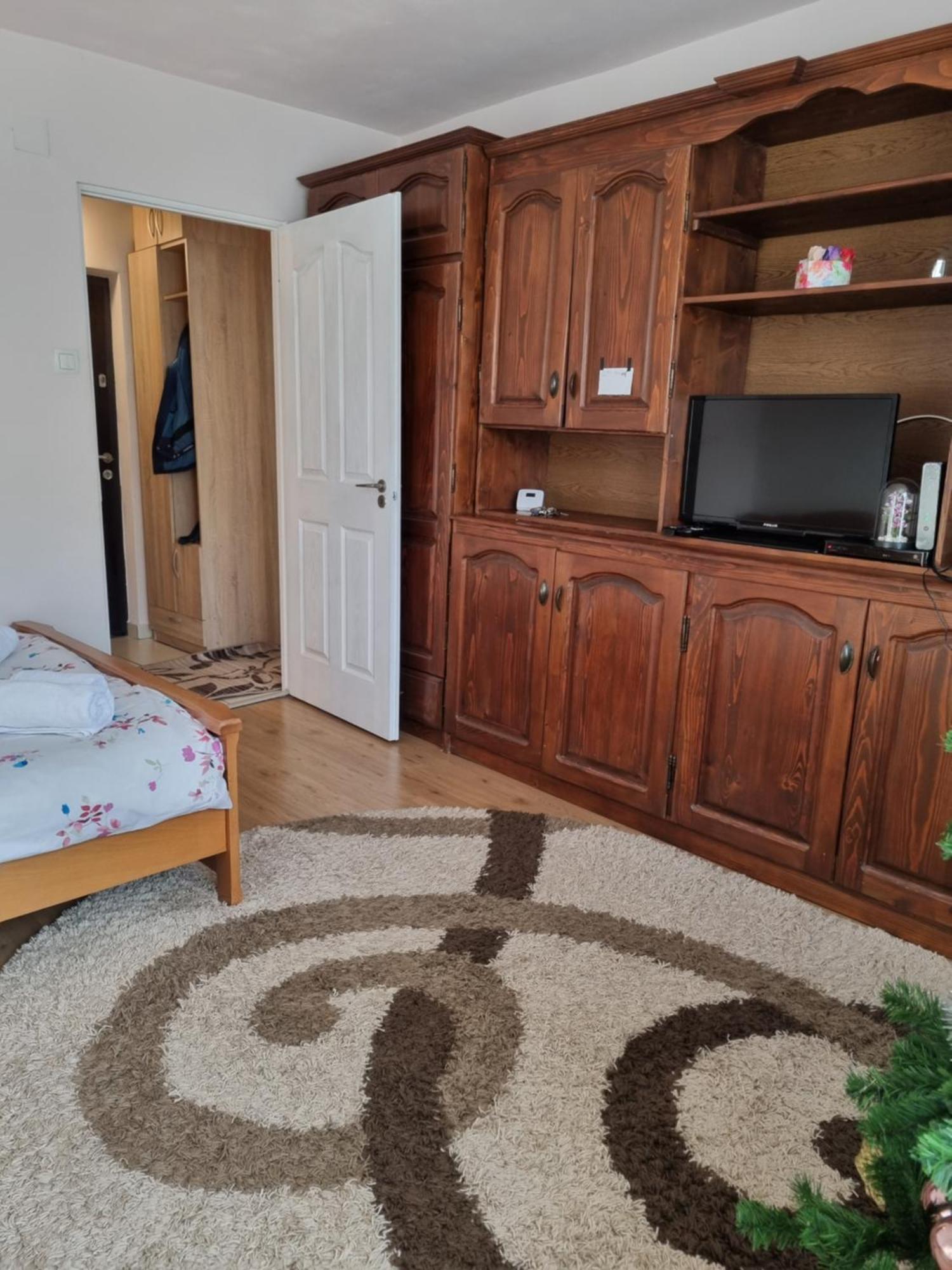 Garsoniera Emilia Apartment Campulung Moldovenesc Exterior photo